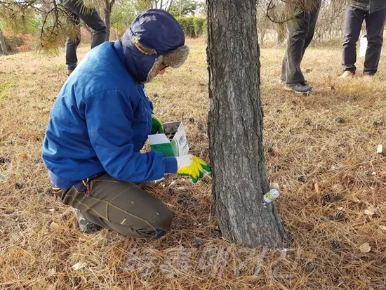 창원신항사업소 수간주사 작업사진 (사진제공:창원시청)