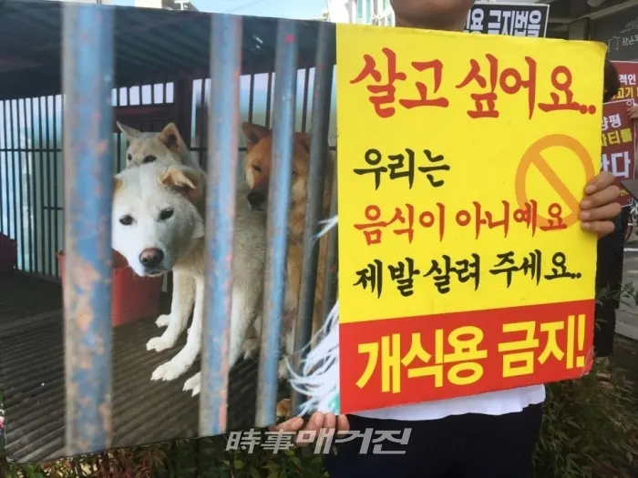 사진_22일 경기 양평군 서종면 면사무소에서 '양평에서 벌어지고 있는 집단 개고기 파티를 규탄'하는 집회가 열리고 있다.