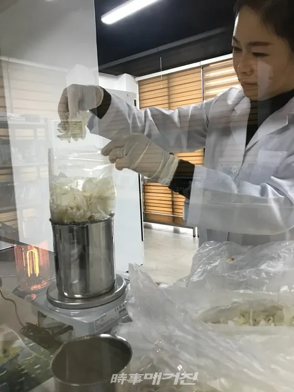 웰니스라이프연구소에서 이현주 대표가 연구를 하고 있는 모습