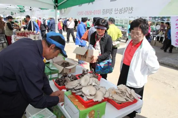 ▲ 출처 : 영동군