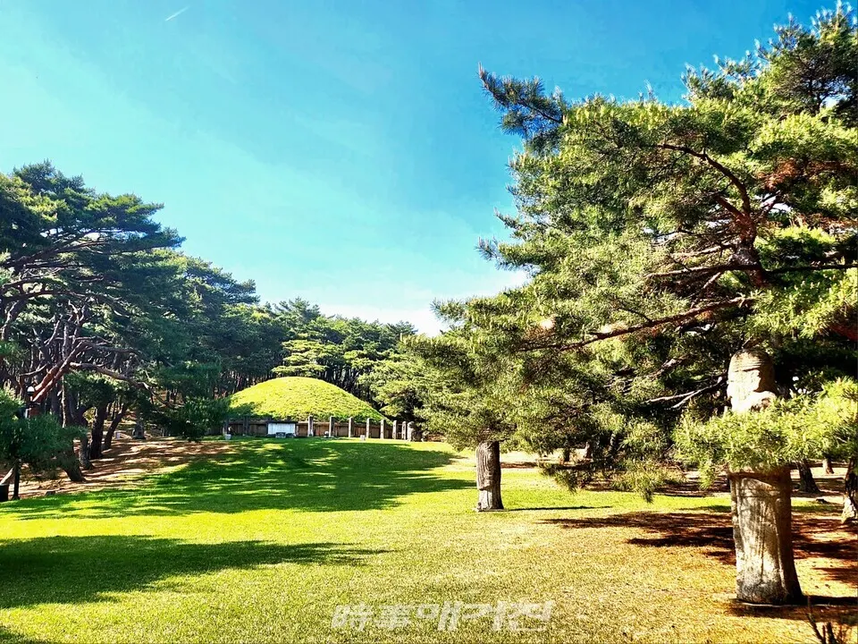 문인석과 무인석이 시립하고 있는 왕릉 전경.(사진_ 조용우 칼럼니스트)