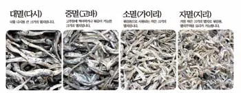 ▲ 삼양수산에서 생산되고 있는 멸치