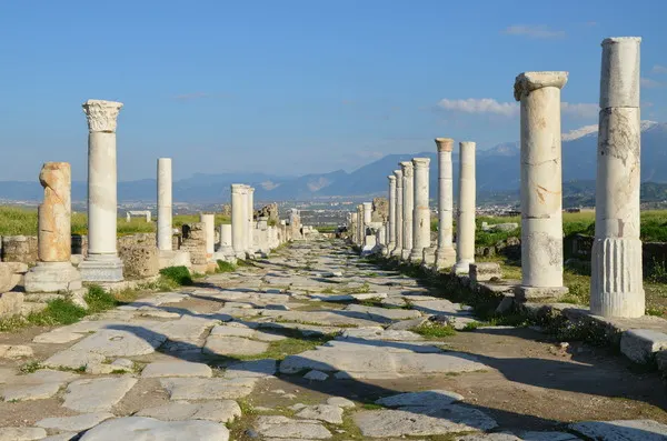 고대도시 라오디케아 전경(Laodicea)
