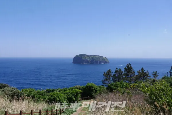죽도