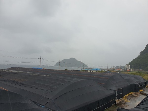 서귀포시 보목동 소재 양어장 전경