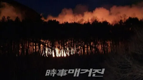 사진제공/산림청
