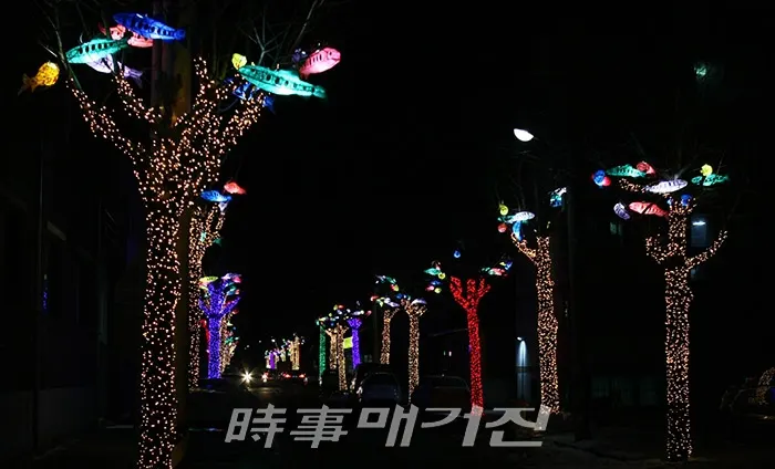 가로수 조면'