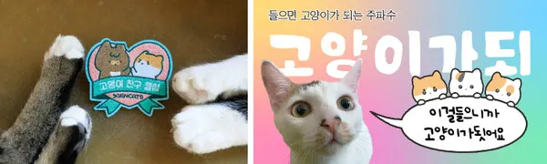 삼대냥이 고양이 친구 클럽 와펜 / 와펜 스포일러 콘텐츠, 고양이가 되는 주파수 (사진=프롬마리㈜)