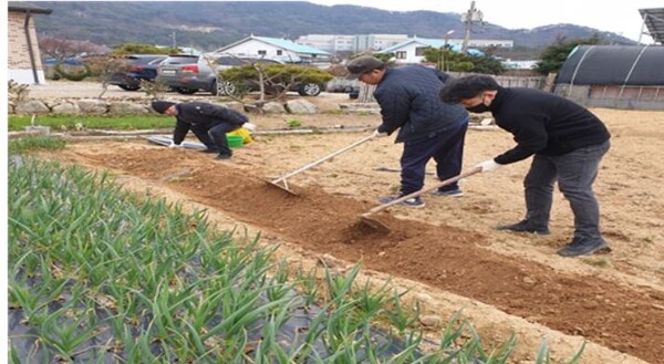 참가자 영농체험(사진-전북도)