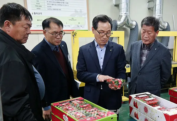 한국농수산식품유통공사(aT) 이병호 사장은 11월 27일 경남 진주의 딸기수출농업단지를 방문하여 현장을 둘러보고 고객간담회를 개최했다.(사진_한국농수산식품유통공사)