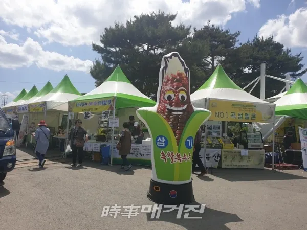 곡성군 소재 3개 기업이 전라남도 예비사회적기업 및 마을기업에 선정됐다.(사진_곡성군청)