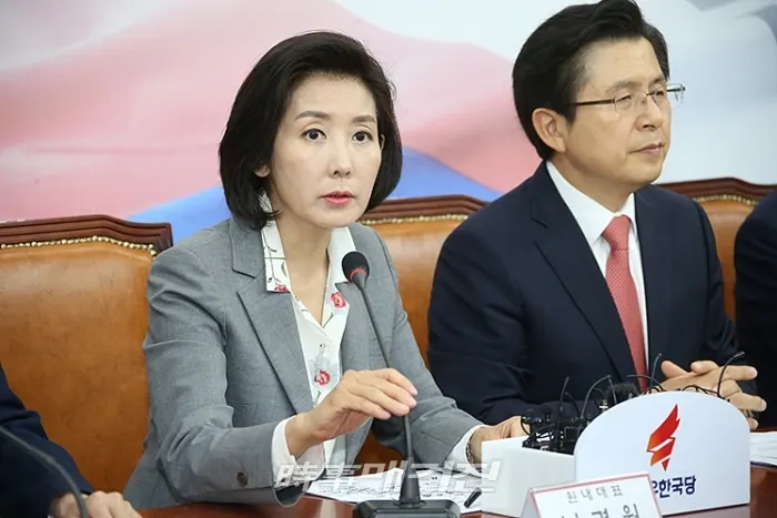 나경원 자유한국당 원내대표(사진_시사매거진 DB)