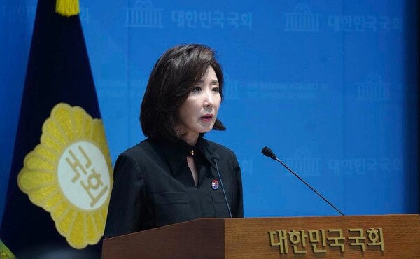 나경원 국민의힘 의원.(사진_나경원 의원실)