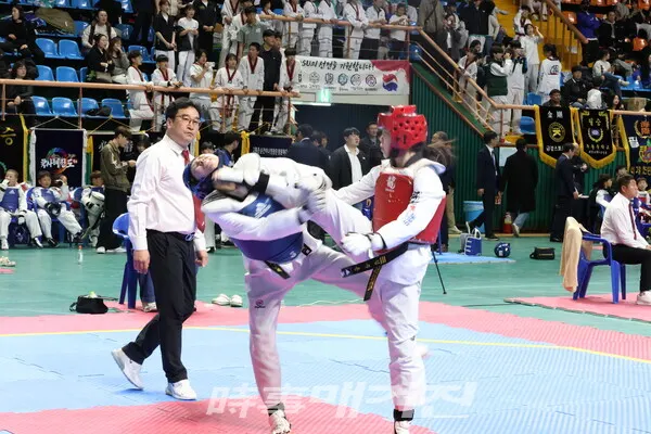 전라남도도대표 선발전 경기모습 (사진_조두상 기자)