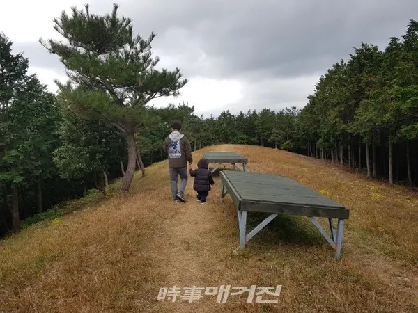 고이오름 정상에 마련된 정자도 편백나무로 제작되어 탐방자들에게 쉬어 갈수 있도록 조성되었다 (사진-시사매거진 제주본부 김광수 기자)