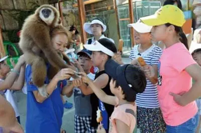 ▲ 놀이시설을 비롯 체험학습을 위한 동물 먹이 및 다양한 기념품을 판매하고 있는 중앙 광장, 야외무대, 게임시설 등을 갖추고 있는 가족단위의 신개념 테마파크이다.
