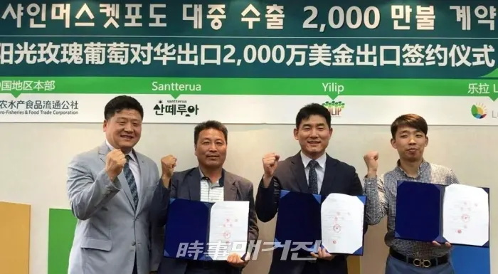 농림축산식품부와 한국농수산식품유통공사(aT)는 국내 샤인머스켓 포도 재배농가인‘산떼루아 영농조합’과 중국 과일 전문 바이어인‘Lurra(乐拉)’간 향후 4년간 국산 샤인머스켓 포도 1,200톤(약 2천만 달러, `18년 수출액 기준)을 공급하는 계약을 지난 5월 20일 성사시켰다.[사진 _한국농수산식품유통공사]