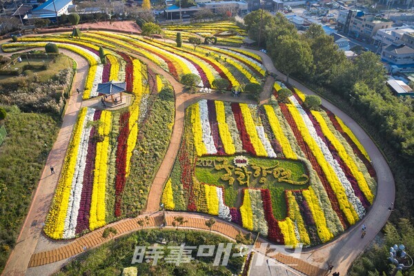 화순 국화동산 전경.(사진_화순군)