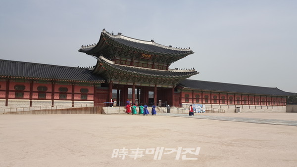 사진_안나겸 사회부 기자