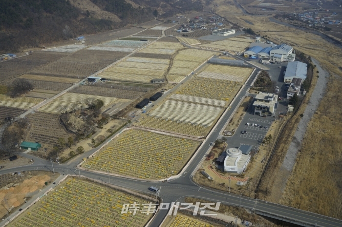 밀양한천은 무엇보다도 밀양 외의 다른 지역에서는 한천이 생산되지 않는 밀양특산품이라는 점에서 경쟁력을 갖고 있다. 특히 2016년 4월에 오픈한 밀양한천 테마파크는 인근 부산, 울산, 경남, 대구, 경북 지역은 물론 전국 각지의 관광객들이 찾아오고 있는 관광명소 및 한천체험장소로 각광받고 있다.