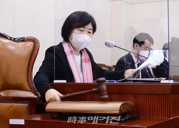 법률안 통과 중인 서영교 국회의원