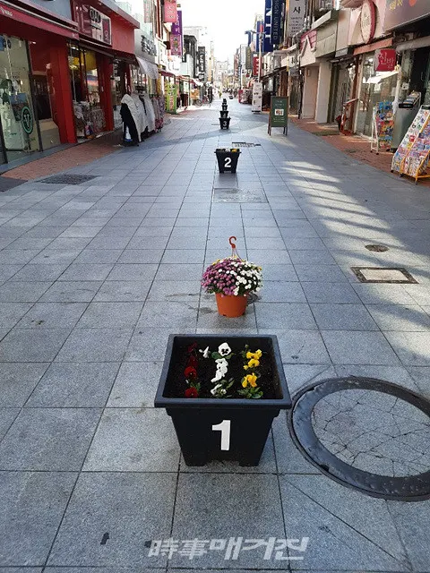 목포시는 “목원동 차없는 거리 상인들이 장기화된 코로나19로 침체된 원도심 거리에 생기를 불어넣고자 ‘사계절 꽃이 있는 거리 만들기’ 운동을 시작했다”고 밝혔다.(사진_목포시청)