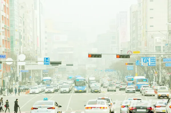안개, 초미세먼지 (시사매거진DB)
