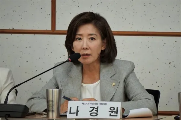 나경원 국민의힘 의원.(사진_나경원 의원실)