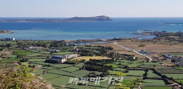 말미오름,알오름에서 본 우도(밭 한가운데 1코스 시작점인 시흥초등학교)