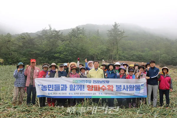 더불어민주당 전남도당(위원장 서삼석)은 3일 무안군 청계면 청천리 일원 2천여 평의 양파 밭 에서 농촌일손돕기 봉사활동을 펼쳤다고 밝혔다.(사진_더불어민주당 전남도당)