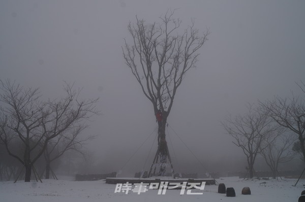 폭낭