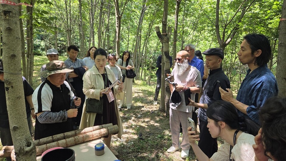김동환 원주옻문화센터장이 옻칠액 채취 시연를 하고 있다(사진_원주시)