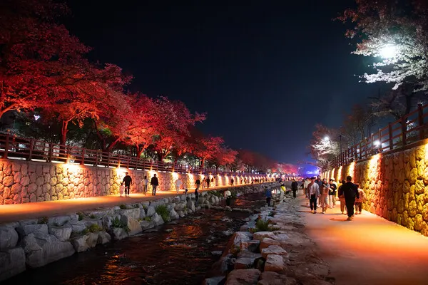 금오천 야관경관.(사진_구미시)