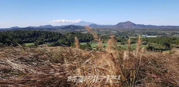 말미오름에서,멀리 보이는게 한라산