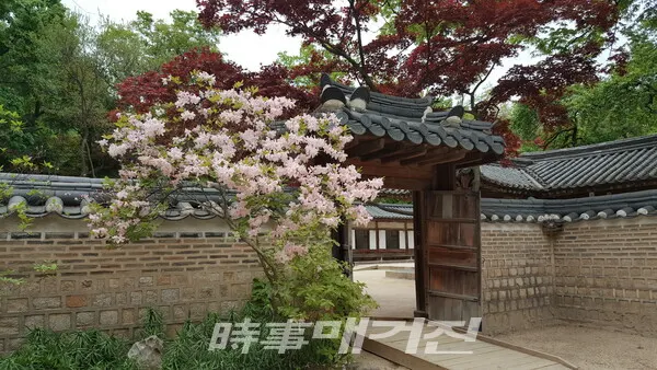 사랑채에서 안채 가는 정추문(正秋門)은 연경당 앞마당에서 안채와 사랑채를 연결하는 문이다. 특히 연경당 안에는 수인문이라 해서 안채로 들어가는 중문이 있어 주로 여자들이 출입했고, 장양문은 솟을 대문으로 주로 남자들이 연경당 사랑채로 들어 갈때 사용했다. 유교 중심인 조선은 문에도 남여차별을 두었다.(사진_안나겸 기자)