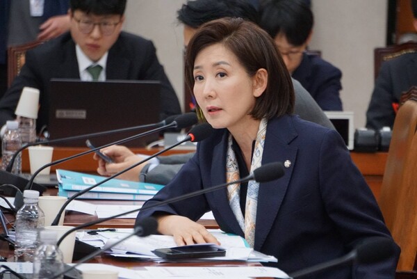 나경원 국민의힘 의원.(사진_나경원 의원실)