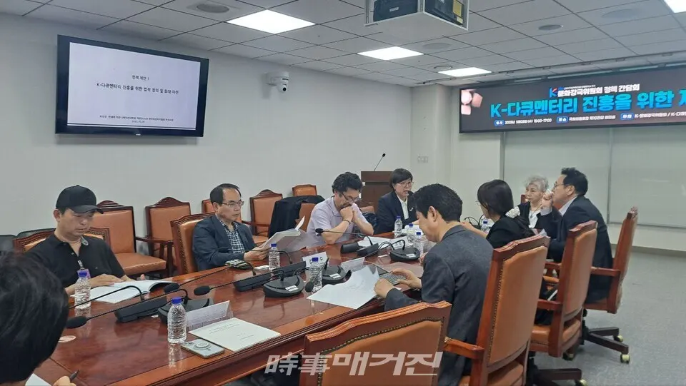 더불어민주당 K-다큐멘터리위원회, 정책 제안 발표 회의 전경 / K-문화강국위원회 제공