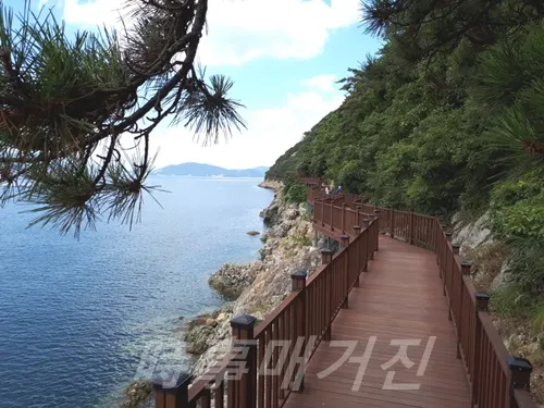마산합포구, 저도 비치로드(둘레길)  (사진제공:창원시청)