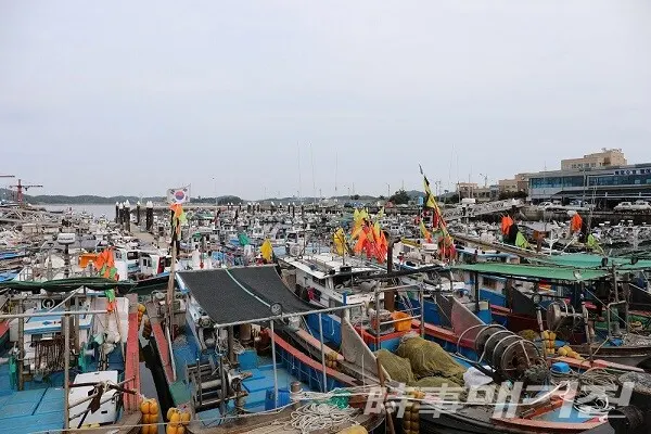 13일 제 14호 태풍 찬투의 북상에 따라 목포 북항 항포구에 계류되어 있는 선박들/사진=목포해양경찰서 제공