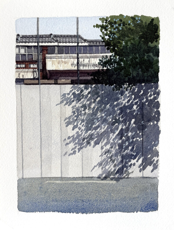 김민정 작가의 '경계에 선 풍경 Invisible Boundaries' 연작이 부산 재개발 현장의 담장과 나무, 사라지는 주거 공간의 흔적을 수채화로 담아내고 있다.(사진_김민정 화가)