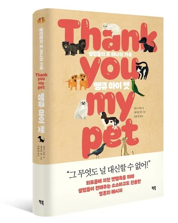 저자 캐서린 퀸 | 출판사 빅북