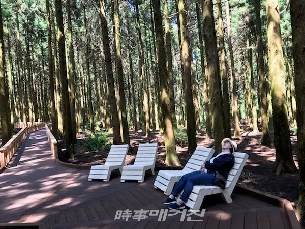 사려니숲 무장애 나눔길 현장 사진 (사진- 제주특별자치도)