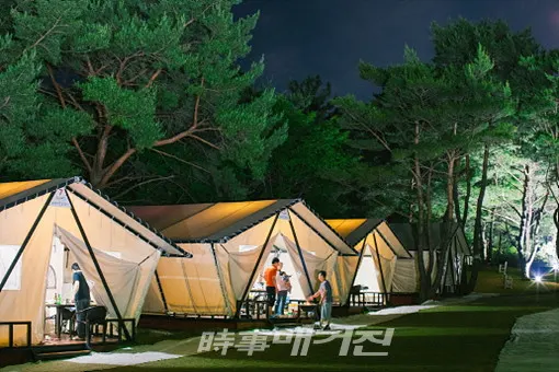 ‘구름 위 신비의 공간’ 글램핑장에서는 친구, 연인, 가족과 함께 고요하고 평화로운 자연 속에서 편안하고 로맨틱한 여름밤을 보낼 수 있다.