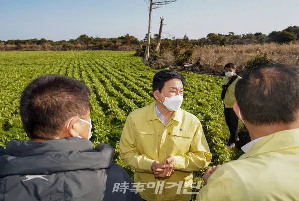 제주산 월동채소는 겨울철 국민의 밥상을 책임진다. 원희룡 제주도지사는 올 겨울 잇따른 폭설과 강추위로 언피해가 일어난 월동무 밭을 찾아 농업인을 위로하고 필요한 지원을 할 것을 약속했다.