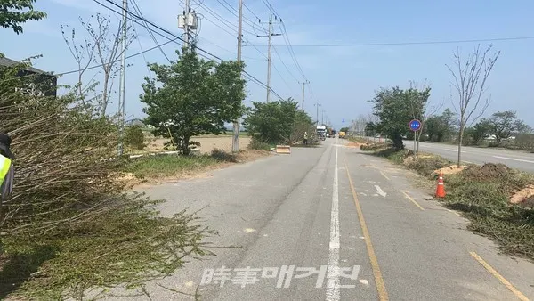 전주시는 이달 말까지 전주육묘장부터 도도동 득룡교까지 1㎞ 구간에서 ‘2021년 전군도로 벚꽃길 복원 가로수 조성사업’을 추진한다.(사진-전주시청)