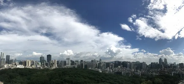 ▲선정릉 뷰 포인트