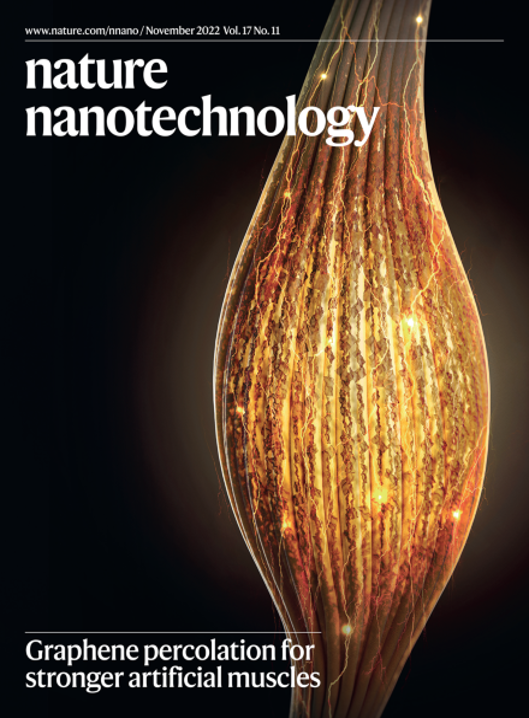 논문커버 Nature Nanotechnology