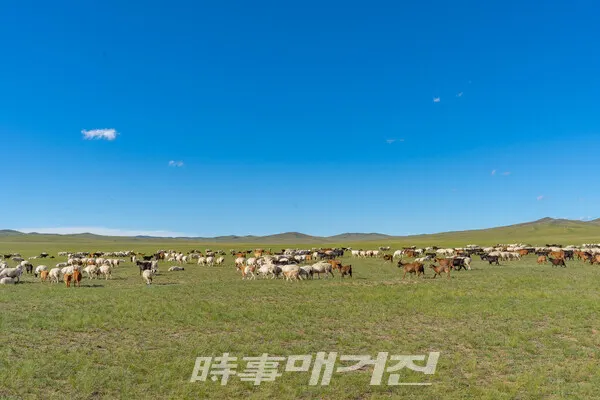 몽골 여행의 매력은 역시 자연이다. 광활한 초원 위에서 낭만적인 밤을 보내고, 황금빛 고비 사막을 가르며 유리처럼 투명한 홉스골 호수 위를 말과 함께 달리는 호사를 누릴 수 있다.(사진_하나투어)