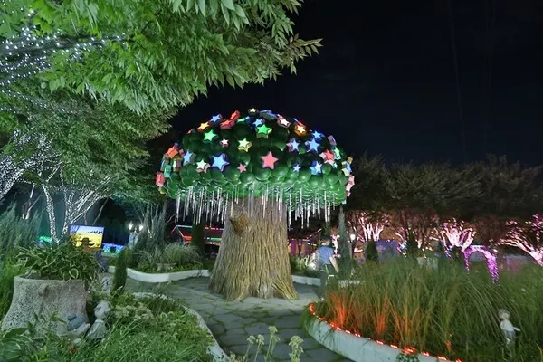 고흐의 별빛정원