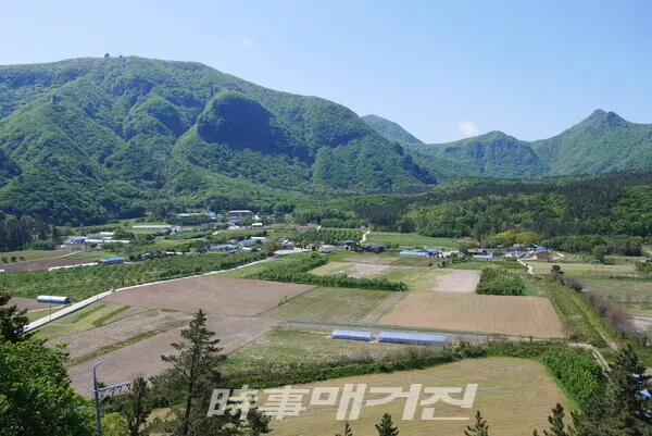 울릉도 나리분지